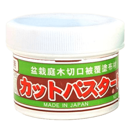 Japanese Bonsai Cut Paste | 190g Tub | White Top For Deciduous & Tropical Trees - Yorkshire Bonsai