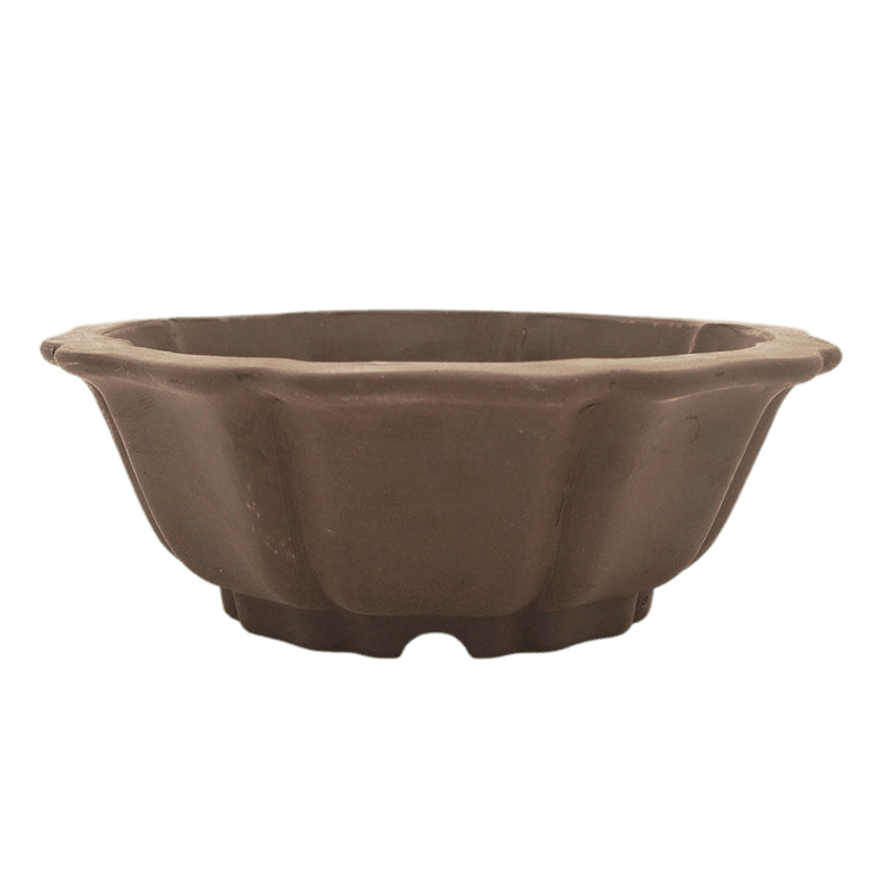 Unglazed Bonsai Pot Round | 18cm x 18cm x 5cm | YB1123 - Yorkshire Bonsai