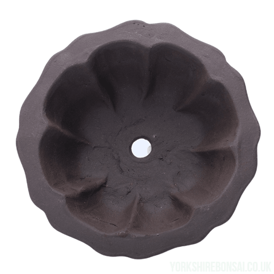 Unglazed Bonsai Pot Round | 18cm x 18cm x 5cm | YB1123 - Yorkshire Bonsai